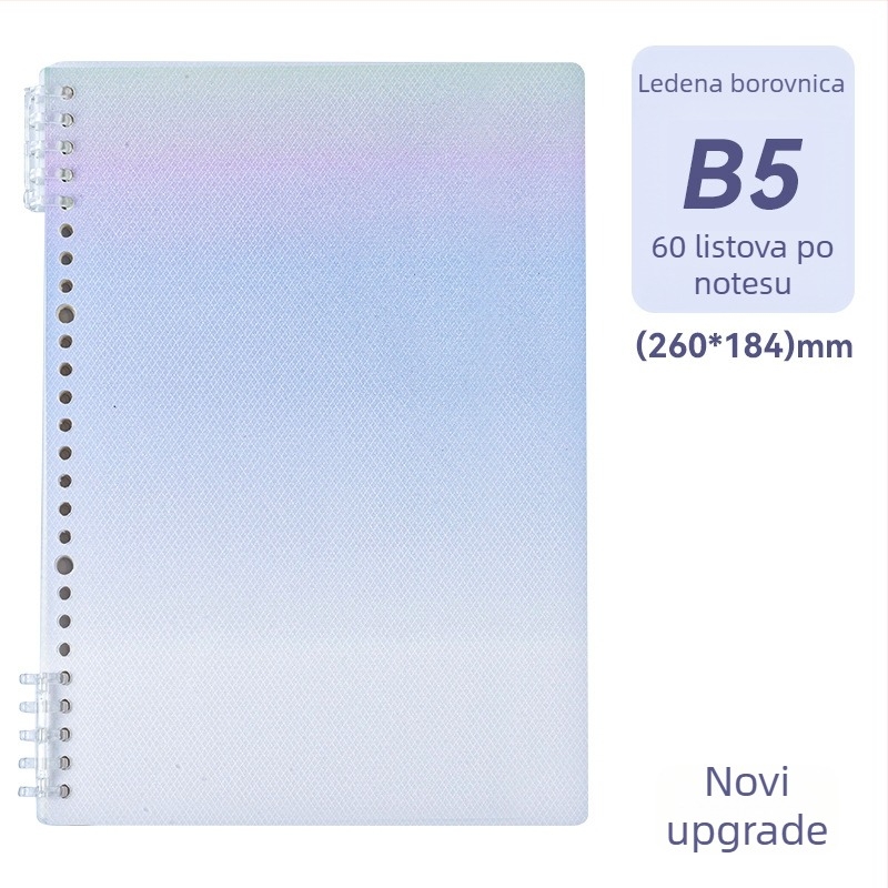 B5 bilježnica s omotom s motivom zmaja, vezana prstenima, izdvojive stranice