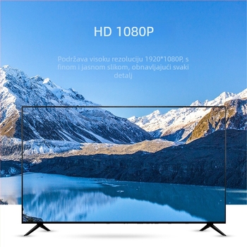 DVI na VGA adapter, DVI muški na VGA ženski, 1080P rezolucija, za računalo/televizor/projektor