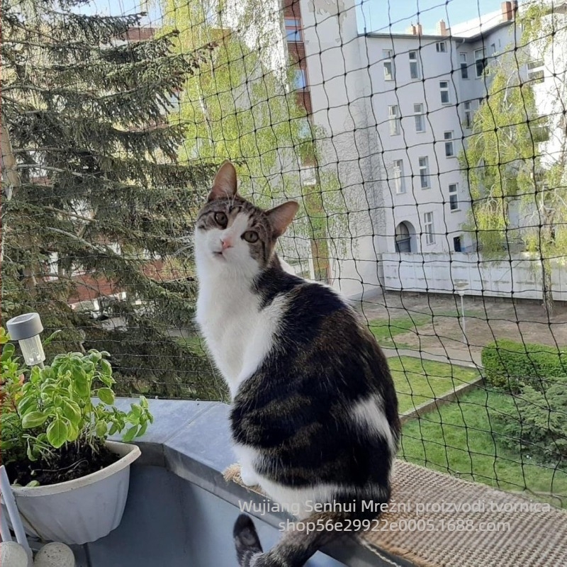 Mreža za sigurnost balkona za mačke i pse – prozirna najlonska mreža, zaštita od pada, za balkon/prozor (Najlon mreža, prozračna, zaštita od pada, za balkon/prozor, za mačke i pse)