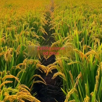 Najlon mreža protiv ptica za vanjsku upotrebu – pogodna za voćnjake, polja, zračne luke i ribnjake