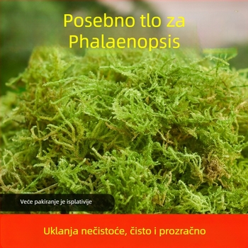 Dekorativni mahovinski substrat za rast biljaka