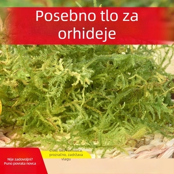 Dekorativni mahovinski substrat za rast biljaka