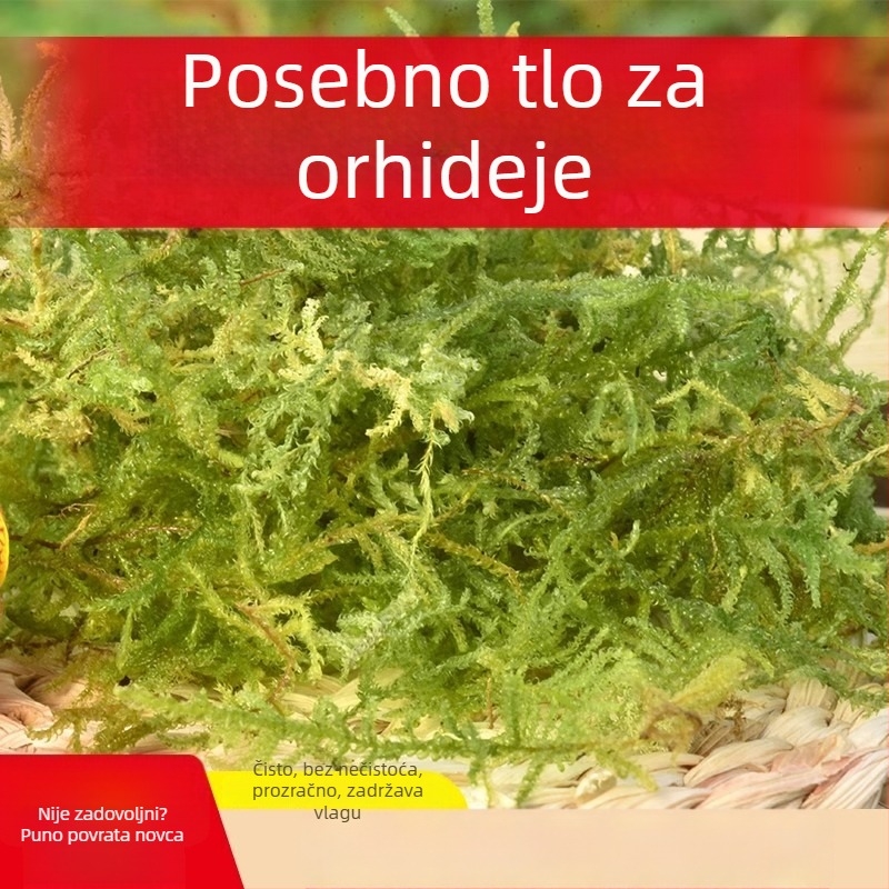 Dekorativni mahovinski substrat za rast biljaka
