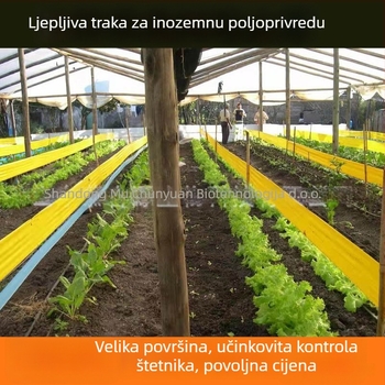 Ljepljiva traka za insekte – ploča za hvatanje insekata, plastika, zatvaranje, Muchunyuan, međunarodni izvoz