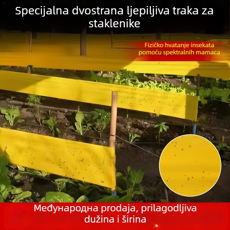 Ljepljiva traka za insekte – ploča za hvatanje insekata, plastika, zatvaranje, Muchunyuan, međunarodni izvoz