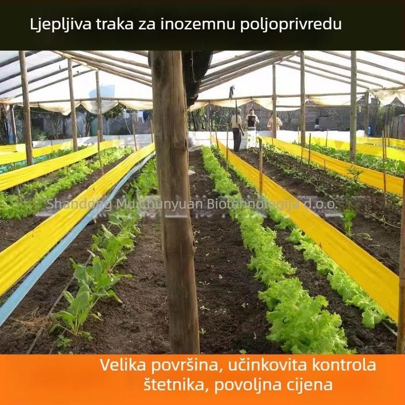 Ljepljiva traka za insekte – ploča za hvatanje insekata, plastika, zatvaranje, Muchunyuan, međunarodni izvoz