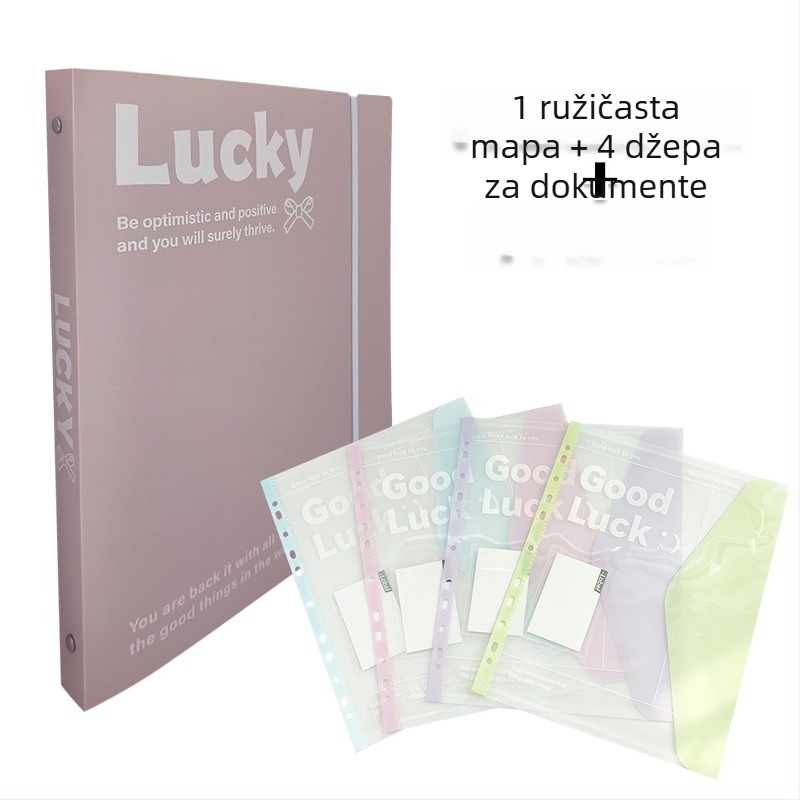 IDEALINK PP registrator s tri otvora za A4, prozirna torbica za dokumente s kaišem