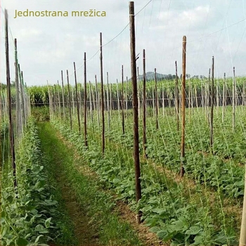 Mreža za penjanje biljaka od PE, bijela, duljina 100–200 m, širina 1,5–8 m, za vrt, Jieteng Huinong
