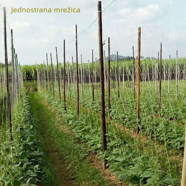 Mreža za penjanje biljaka od PE, bijela, duljina 100–200 m, širina 1,5–8 m, za vrt, Jieteng Huinong