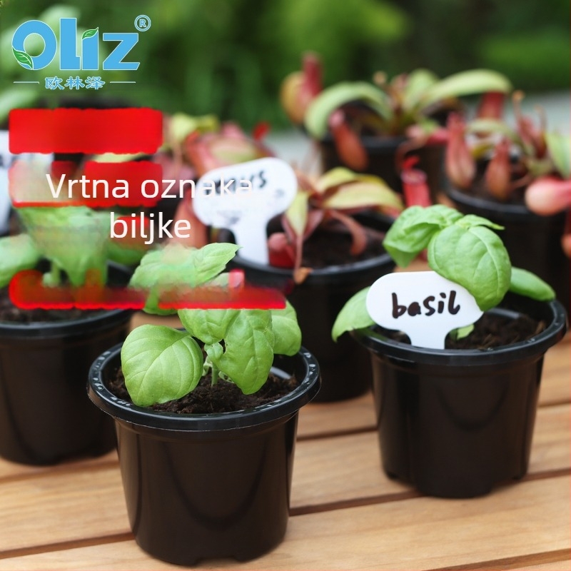 Etikete za biljke, plast, dekorativna upotreba, Olinze