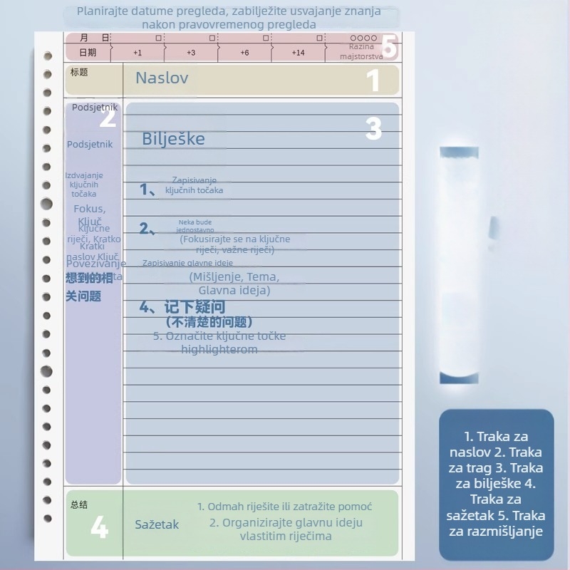 Cornell bilježnica A5, B5 i A4, 60 stranica, 80 g/m² dvostrani offset papir, PP kućište, vezanje binder, horizontalne linije Cornell i kvadratna mreža, retro stil