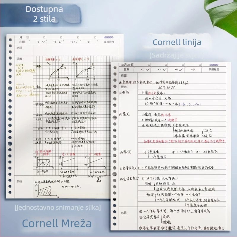 Cornell bilježnica A5, B5 i A4, 60 stranica, 80 g/m² dvostrani offset papir, PP kućište, vezanje binder, horizontalne linije Cornell i kvadratna mreža, retro stil