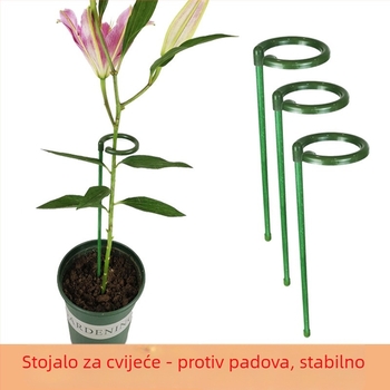 Stalak za orhideju Phalaenopsis s fiksnim okvirom za vanjsku baštu