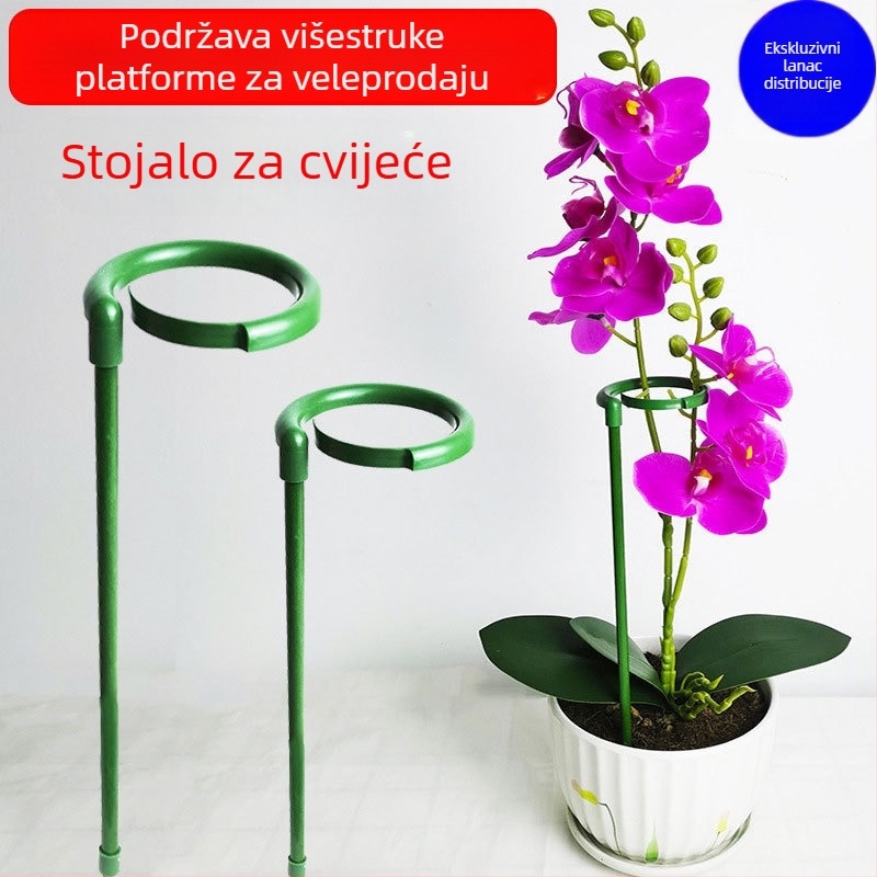 Stalak za orhideju Phalaenopsis s fiksnim okvirom za vanjsku baštu