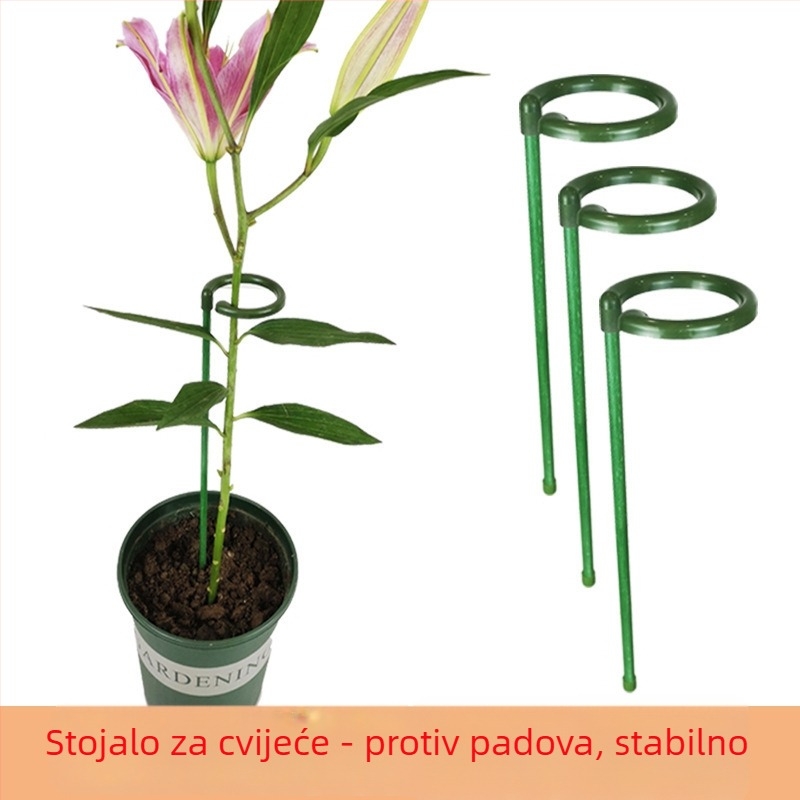 Stalak za orhideju Phalaenopsis s fiksnim okvirom za vanjsku baštu