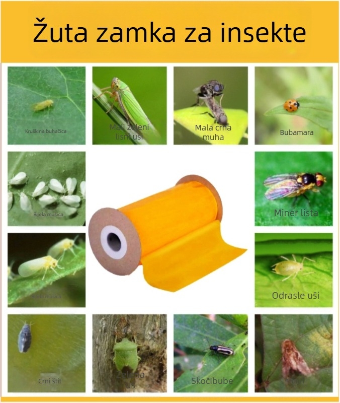Ljepliva trakica protiv insekata za drveće i staklenike, dvostruka, PP materijal, zaštita zelenila i kontrola štetočina.