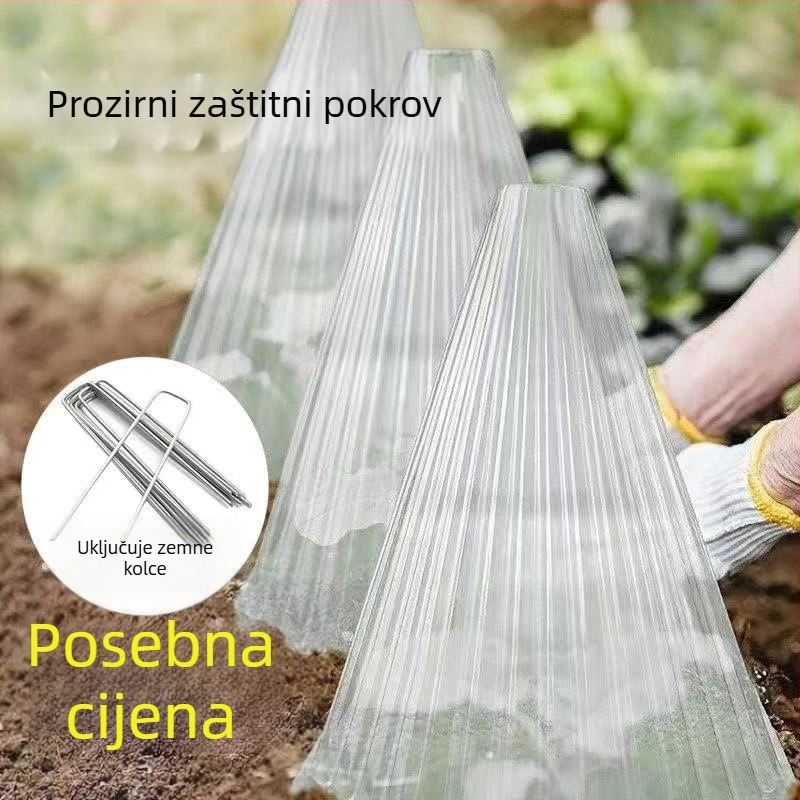 Etikete od nehrđajućeg čelika za biljke za pokrivanje tla — Kip26156515, Nije uvezeno