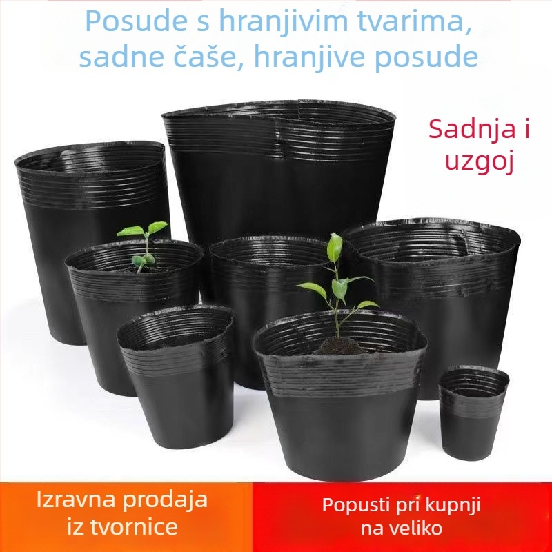 Pengyi YUMBEI Nutritivna šalica za presadnice, čvrsti plast, jednokratna upotreba