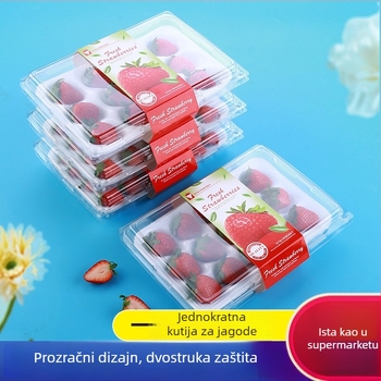 Jednokratna prozirna kutija za jagode, s unutarnjom potporom i poklopcem, model 500p, PE plastika