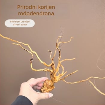 Dekor za akvarij: mahovina, drvo u obliku stabla, korijen rododendrona, 1 komad u kutiji