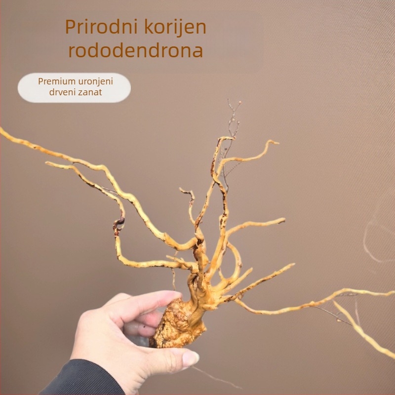 Dekor za akvarij: mahovina, drvo u obliku stabla, korijen rododendrona, 1 komad u kutiji