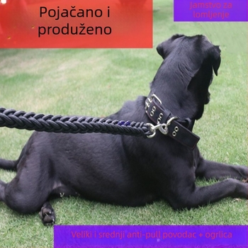 Zhenhun najlonski set za pse: ogrlica, uzica i karabiner