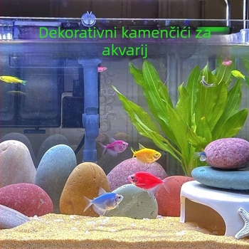 Ukrasni kameni za akvarij – prirodni riječni kamen za sadnju i ukrašavanje vrta