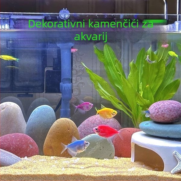 Ukrasni kameni za akvarij – prirodni riječni kamen za sadnju i ukrašavanje vrta