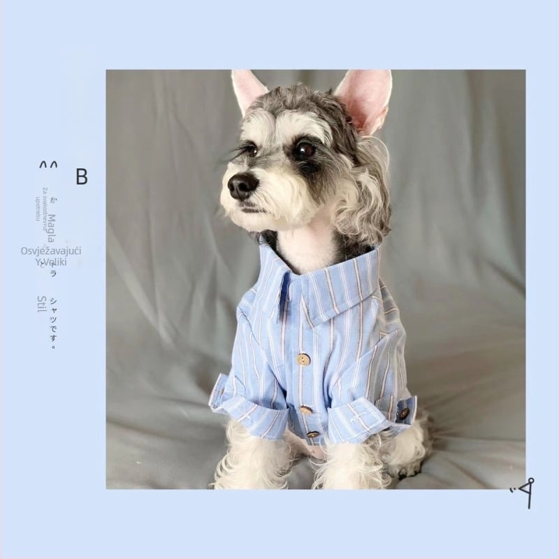 Majica za kućne ljubimce — boyfriend stil, poliester za sve sezone, nadahnuće britanskog stila