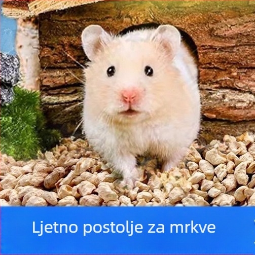 Podloga za hrčka: kukuruzna posteljina, drveni piljevina i urin pijesak za zlatne hrčke