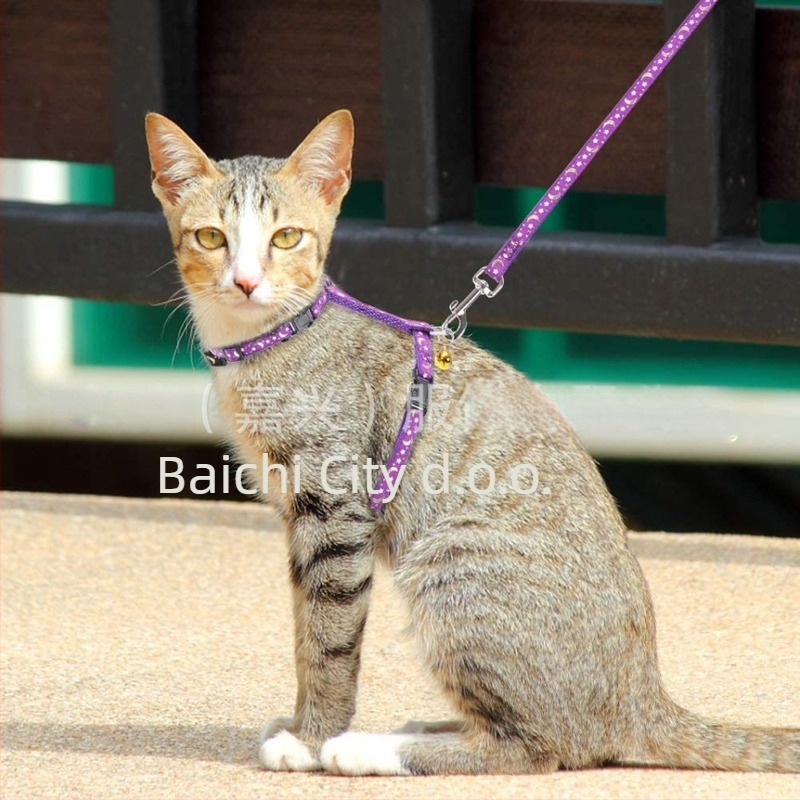 Mačji prsni hám s fluoresc. uzorkom zvijezda i mjesec, web traka — paket 100