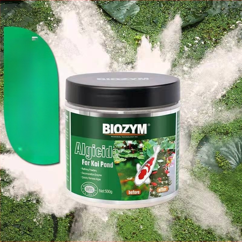 Byinmei Prah za uklanjanje algi za akvarij i ribnjak – uklanja zelene alge, mahovinu i smeđe alge, sigurno za ribe, 500 g