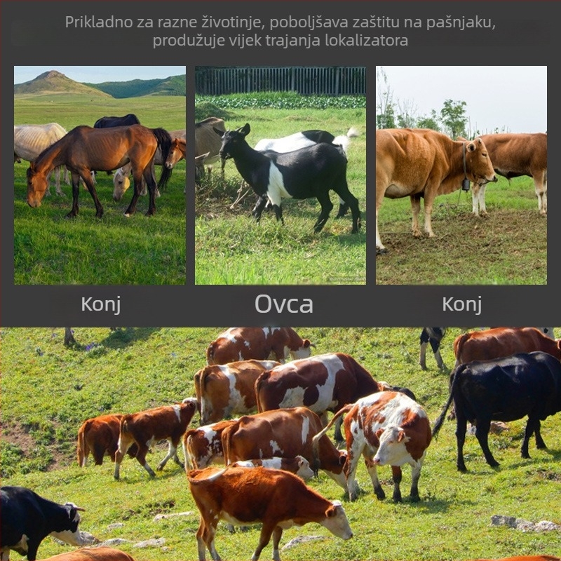 GPS ogrlica za stoku, goveda, ovce i konje — prugasti uzorak, poliester, univerzalna primjena, Add beauty