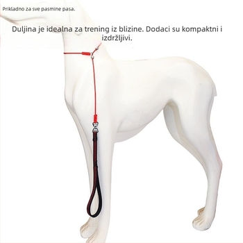 Povodac za trening psa, nehrđajući čelik, proširivi, za trening