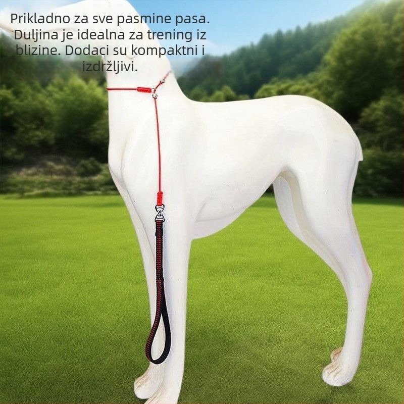 Povodac za trening psa, nehrđajući čelik, proširivi, za trening
