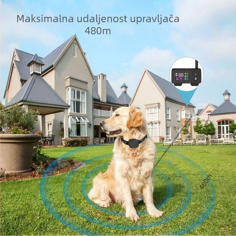 Bežični obojica za trening pasa s elektroničkom ogradom - OEM ili neutralna marka; Plastična konstrukcija; Opća upotreba; Nije uvoz