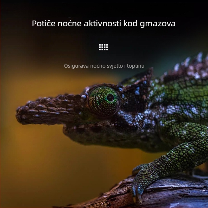 Reptishow Grijanje i basking lampu za reptile i male ljubimce — noćna svjetlost