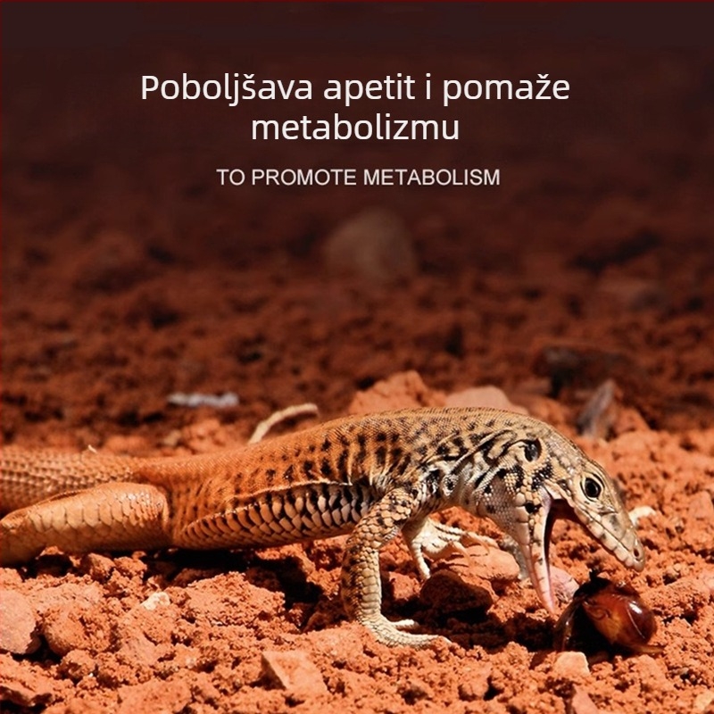 Reptishow keramička UVA grijaća lampa za gmazove i male kućne ljubimce, lampica za sunčanje za guštere, ježeve i kornjače