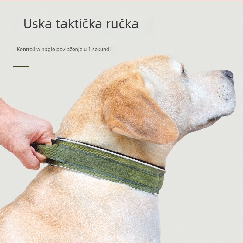 Prilagodljiva ogrlica za pse od najlonsko-titanijskog legura, marka Lunguigi; proširivi dizajn