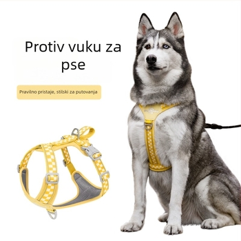Šarena karirana šetnja za psa – protiv bijega, karirani uzorak, poliester, podesiv, Duomao
