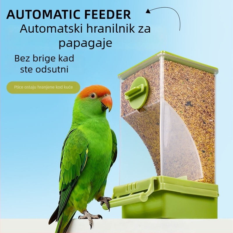 Automatsko hranjenje papiga – visića kutija s protiv izlijevanja, plastična, Zhejiang podrijetlo, 80 komada, za akvarij
