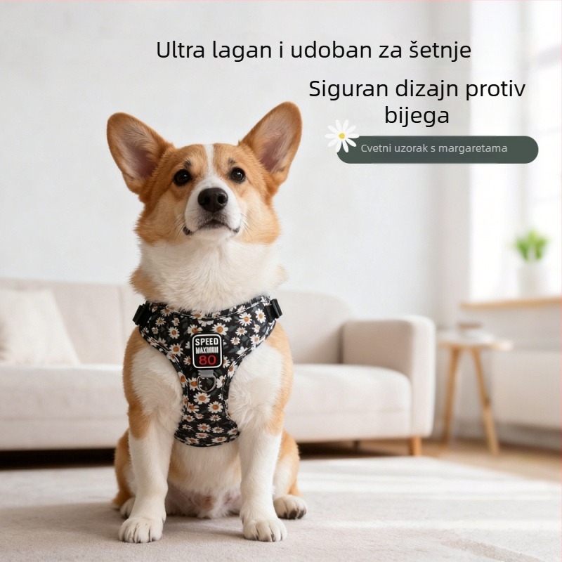 Pojas za mačke s prsnim pojasom, platnen materijal, proširivo, Zhejiang podrijetlo