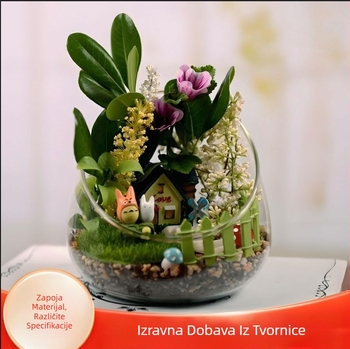 Staklena vaza za mikro pejzaž s nagnutim otvorom, mahovina i sukulenti – DIY ekološka boca za hidroponiju Hongya, namijenjena za stolnu izložbu