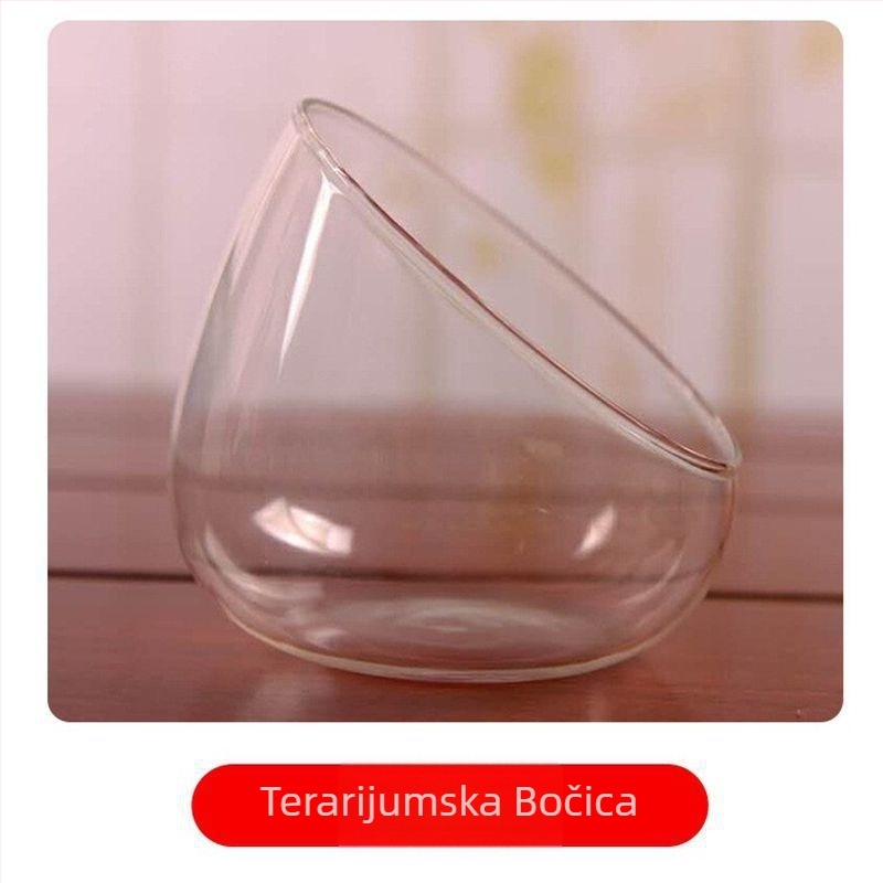 Staklena vaza za mikro pejzaž s nagnutim otvorom, mahovina i sukulenti – DIY ekološka boca za hidroponiju Hongya, namijenjena za stolnu izložbu
