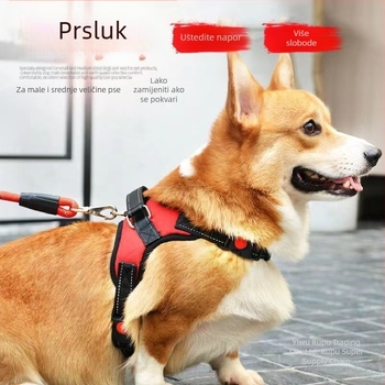 Denim harnes za psa, stražnji klip, prsni pojas, model Ru118