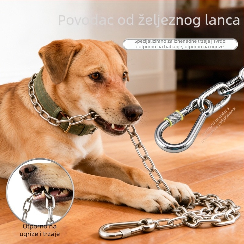 Set kaiša za psa s zaštitom od ugriza: šetnja lanac i pribor