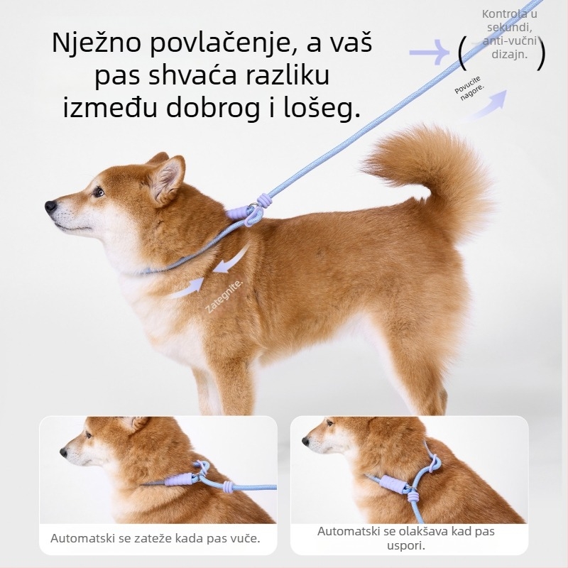 All-in-One pas za pse s mekom drškom od pjene – najlon uže i silikon, marka kimpets, podrijetlo Zhejiang