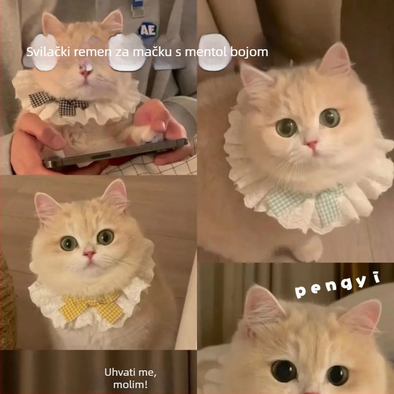 Pet Bib, Ležerni stil (Uzorak: Slova, Obrada: Jacquard, Tkanje: Drugo, Sezona: Četiri godišnja doba)