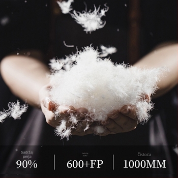 Muška jakna s kapuljačom, punjenje od guščjeg pera, kašmir 86–90%, dlakavost 600, punjenje 100–150 g