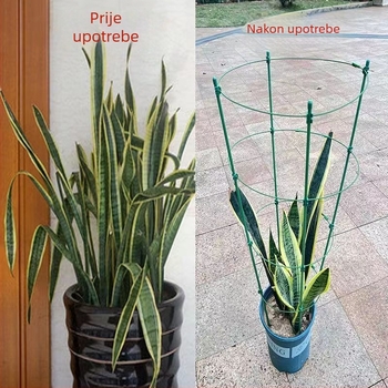 Unutarnja penjačka stabla za biljke s plastičnom potporom za ruže i klematis